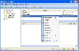 Download Automatic program installation