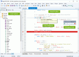 Download Rapid PHP Editor 2014