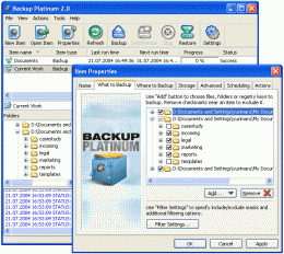 Download Backup PIatinum 2007