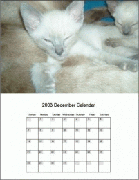 Download Create Calendar 2.0