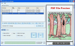 Download PDF Split Merge