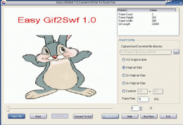 Download Easy Gif2Swf 1.0