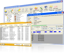 Download Download Accelerator Manager