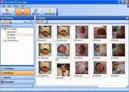 Download Chrysanth NETime Diary 1.1