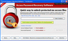 Download Access Password Recovery Software 2.9
