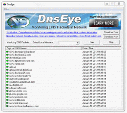 Download DnsEye 1.6.6