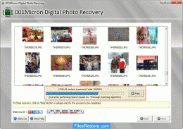 Download Digital Photo Recovery 6.1.1.3