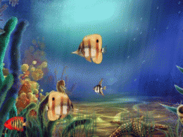 Download Animated Aquarium Screensaver 2.0