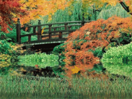 Download Autumn Scenery Wallpaper
