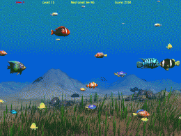 Download Sea Fish