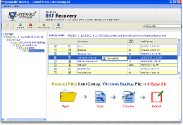 Download BKF Restore Tool 6.0