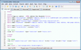Download EnWeb HTML Editor 1.1