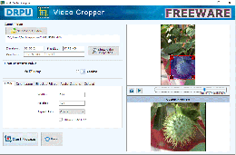 Download DRPU Video Cropper Freeware Software
