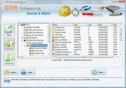 Download DDR Professional Recovery