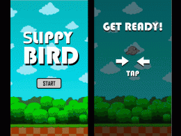 Download Slippy Birds