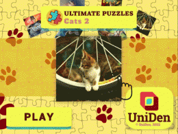Download Ultimate Puzzles Cats 2 2.9