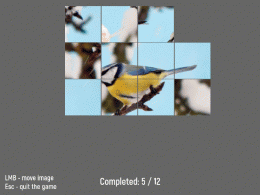 Download Bird 12 Puzzle