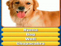 Download Guess Picture Word 5.1