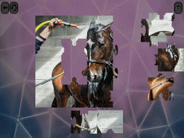 Download Puzzles For Smart Horses 4.7