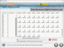 Download Digital Camera Data Recovery Software