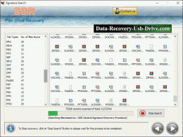 Download USB Drive Data Recovery